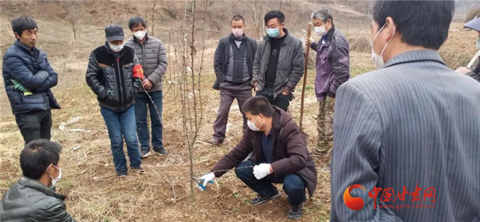 【甘肅全民戰(zhàn)“疫”】隴南徽縣：花椒田里培訓(xùn)忙，戰(zhàn)疫春耕兩不誤