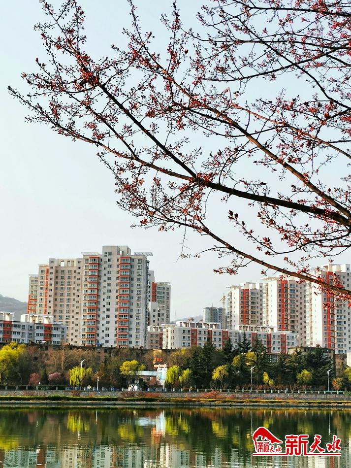 春天，古城天水的十個(gè)美麗瞬間