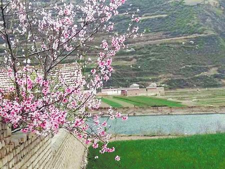 美顏值　增內(nèi)涵——定西渭源縣峽城鄉(xiāng)全力推進美麗鄉(xiāng)村建設側(cè)記