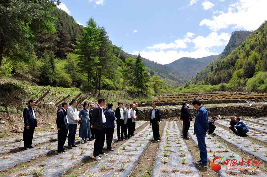 白龍江博峪河保護(hù)局開(kāi)展產(chǎn)業(yè)發(fā)展、義務(wù)勞動(dòng)成果現(xiàn)場(chǎng)觀摩交流活動(dòng)