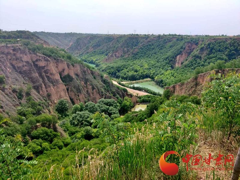 【美麗中國(guó) 生態(tài)甘肅】慶陽西峰區(qū)清水溝：固溝保塬 生機(jī)盎然（圖）