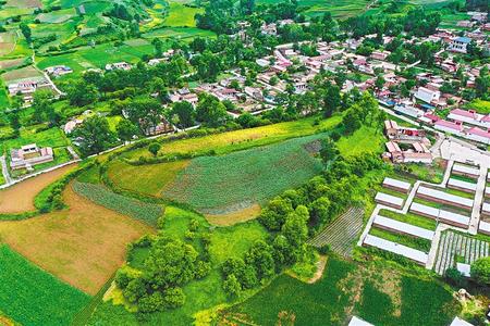 【溫暖的回響 滄桑巨變 飲水思源】這條路，通往幸福