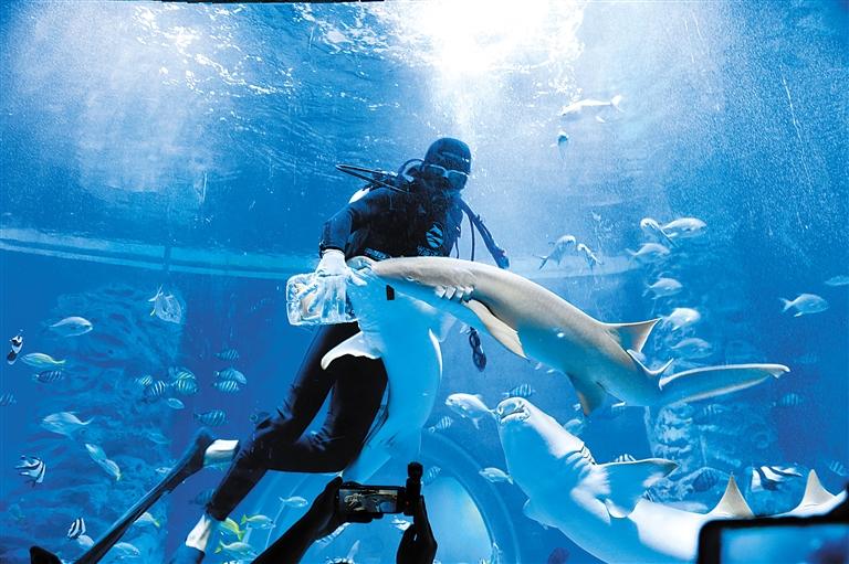 蘭州海洋公園 金昌火星1號基地 這個暑假我們“上天入?！?>
        </a><em>蘭州海洋公園 金昌火星1號基地 這個暑假我們“上天入?！?/em></li>
    <li><a  target=