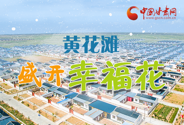 【跟著總書記看甘肅】長圖|武威黃花灘盛開幸?；?