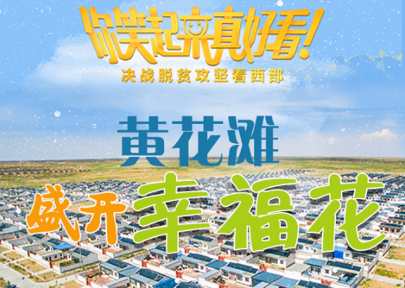 【你笑起來真好看】黃花灘盛開幸?；ǎ▓D解）