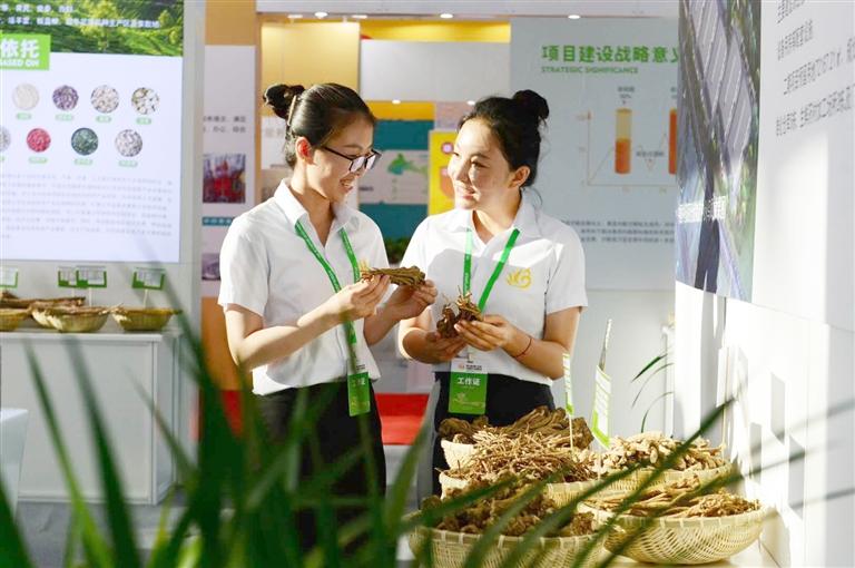 定西，從“千年藥鄉(xiāng)”邁向“中國藥都”