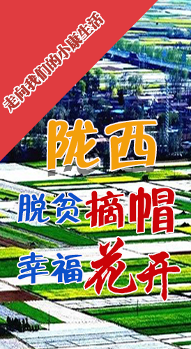 【走向我們的小康生活】長(zhǎng)圖|隴西：脫貧摘帽 幸?；ㄩ_