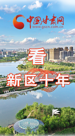 圖解|崛起！新區(qū)十年