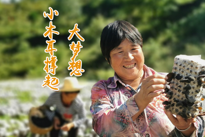 海報丨他們，乘“豐”破浪！