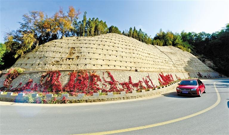 近90度陡坡上種樹！蘭州南北兩山綠化出新招