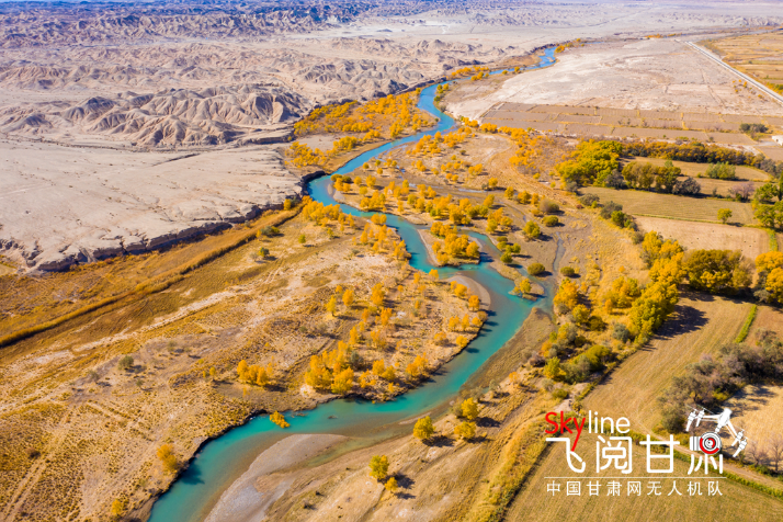 【飛閱甘肅】好美！疏勒河畔大地斑斕