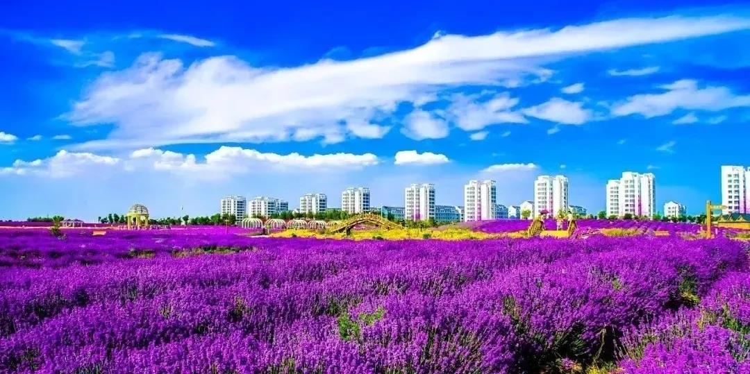 喜訊！金昌蟬聯(lián)全國文明城市