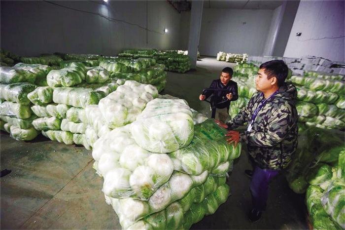蘭州市已儲備1萬噸冬春蔬菜以耐貯存、易周轉(zhuǎn)品種為主