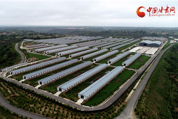 【擔使命 聚同心 促巨變 省直部門落實脫貧攻堅責任工作紀實】甘肅：綜合協(xié)調聚合力 堅持嚴把精準退出關