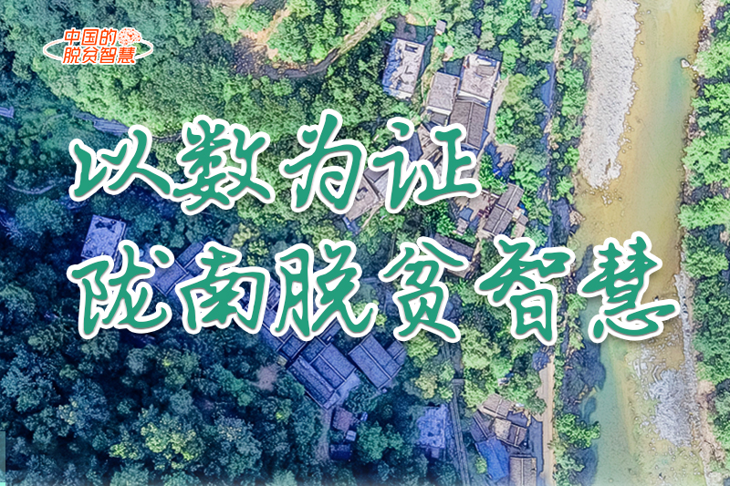 【中國(guó)的脫貧智慧】以數(shù)為證！隴南脫貧智慧來(lái)了！