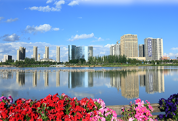 圖解|蘭州新區(qū)：“花樣經濟”別樣紅 