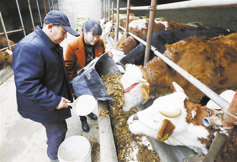 我和我的家鄉(xiāng)丨定西臨洮縣黨家墩村：“?！碑a(chǎn)業(yè)帶來“?！比兆?>
        </a><em>我和我的家鄉(xiāng)丨定西臨洮縣黨家墩村：“?！碑a(chǎn)業(yè)帶來“?！比兆?/em></li>
    <li><a  target=