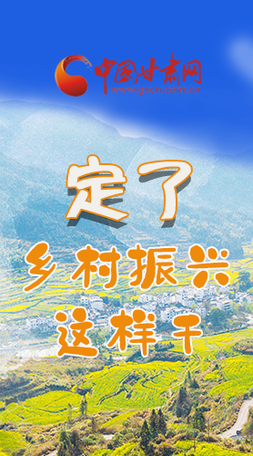 圖解|定了！全面推進鄉(xiāng)村振興這樣干！