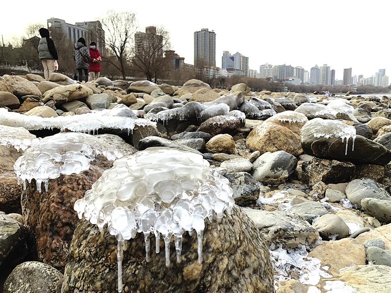 蘭州：水母上河灘？