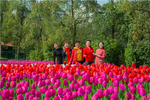 游客在郁金香花海里拍照打卡。羅云希 攝