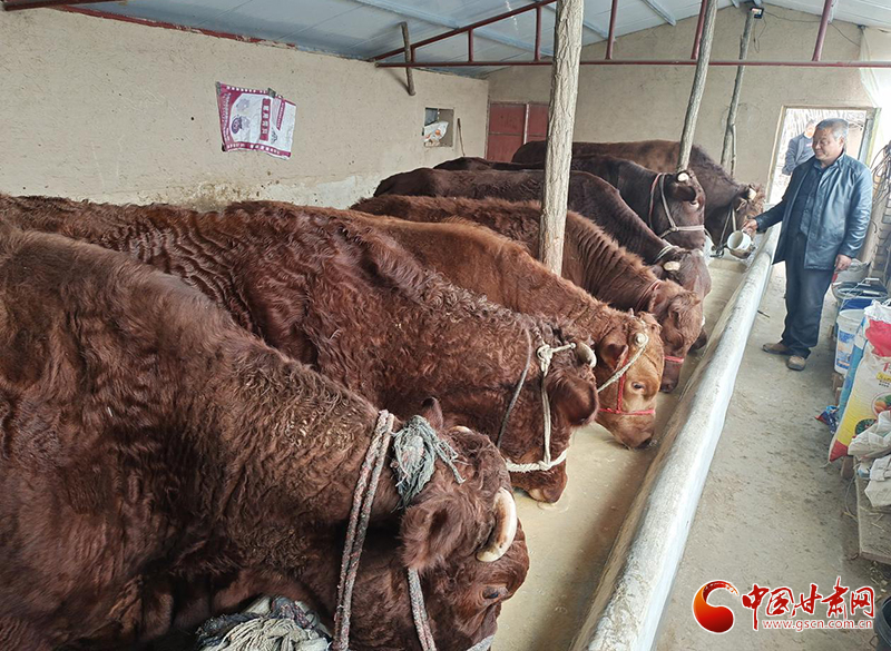 平?jīng)鰶艽ǎ骸芭！碑a(chǎn)業(yè)鋪就致富路