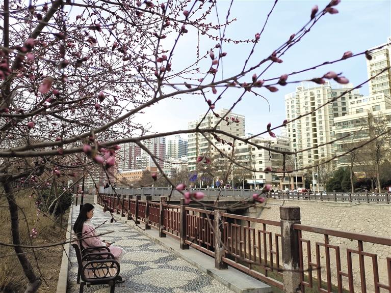 蘭州“第一朵花”開了！