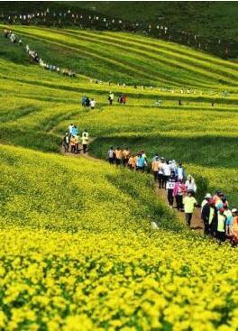 甘肅明確農(nóng)民進城落戶:不以退出承包地、林地等為條件