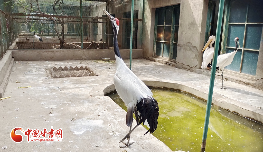 蘭州公安提醒市民：非緊急非必要，不出境