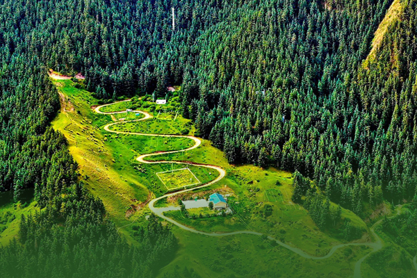 海報(bào)|祁連山保護(hù)區(qū)生態(tài)環(huán)境問題整改全面完成！