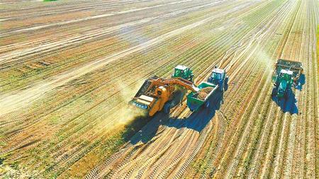 勇當現(xiàn)代農業(yè)發(fā)展的排頭兵——甘肅農墾黃羊河農場高質量發(fā)展走筆