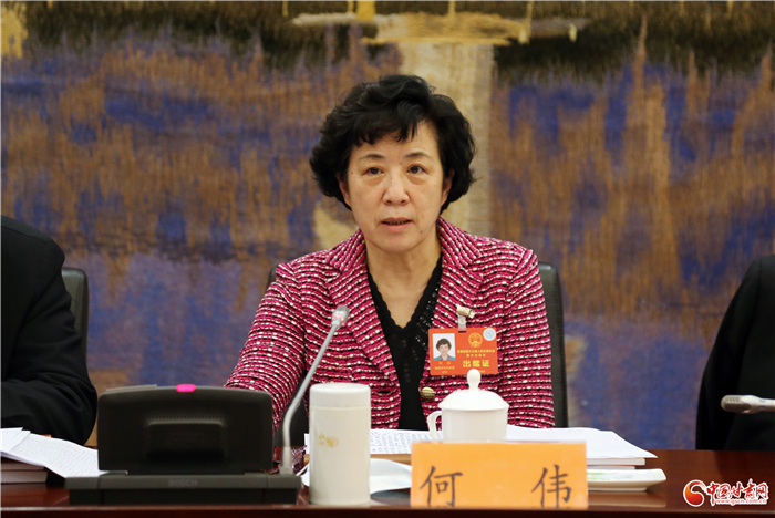 【聚焦2022甘肅兩會·代表委員說】省人大代表何偉：開拓奮進(jìn) 把每項(xiàng)任務(wù)落地落實(shí)
