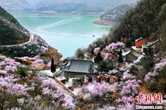 甘肅平?jīng)鍪惺侵袊鴥?yōu)秀旅游城市。圖為平?jīng)鲠轻忌较率锾一ㄊ㈤_。(資料圖) 平?jīng)鍪形麄鞑抗﹫D