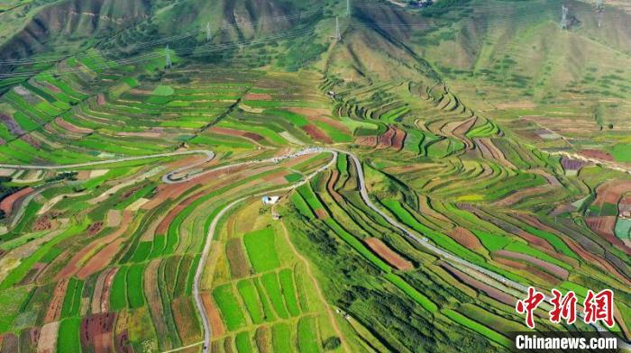 秋日里，榆中縣馬坡鄉(xiāng)千畝梯田，不同農(nóng)作物漸趨成熟，呈現(xiàn)出多種色彩，宛若大地的“調(diào)色盤”。　劉曉波 攝