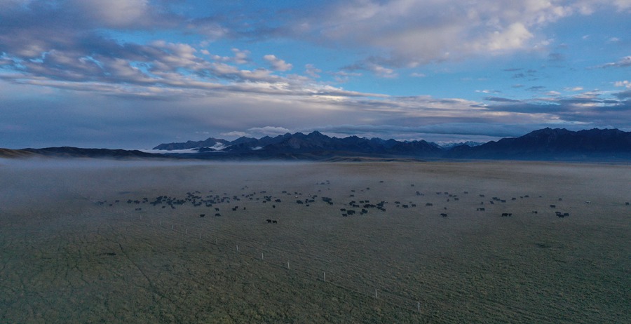 甘肅山丹馬場：峽谷云霧似仙境。 王超攝