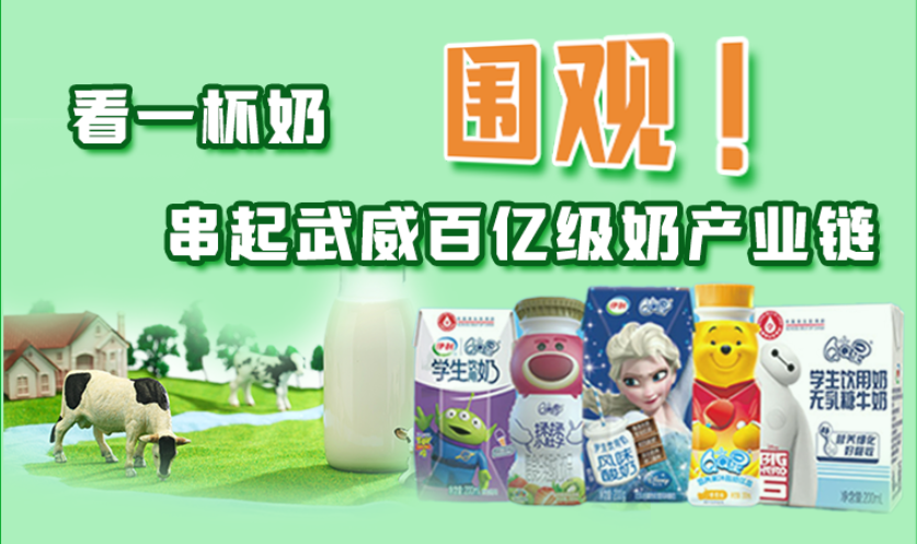 圖解|圍觀！看一杯奶串起武威百億級奶產(chǎn)業(yè)鏈