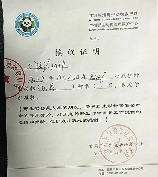 受到救助的池鷺被蘭州野生動(dòng)物保護(hù)站接收。（蘭州市公安局七里河分局供圖）