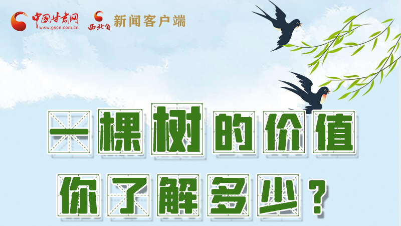 圖解|一棵樹(shù)的價(jià)值你了解多少?來(lái)看！