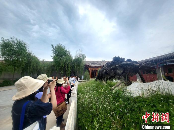 圖為媒體記者在青海永錄民俗參觀采訪。　薛蒂 攝