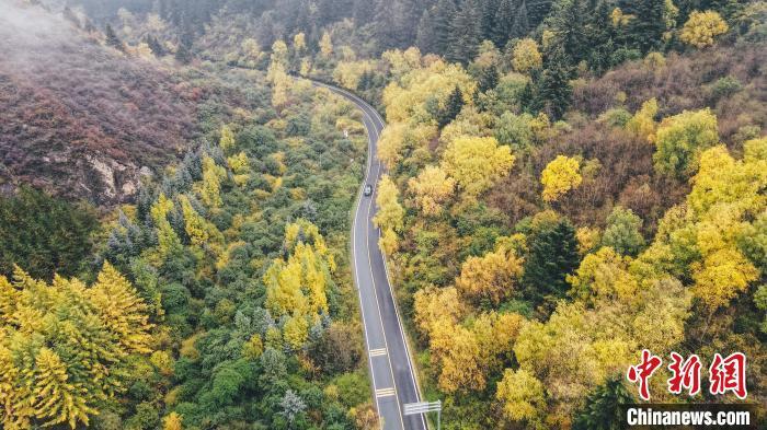 深秋，航拍位于蘭州市榆中縣的興隆山，景色如畫。金峯 攝</p>
<p>