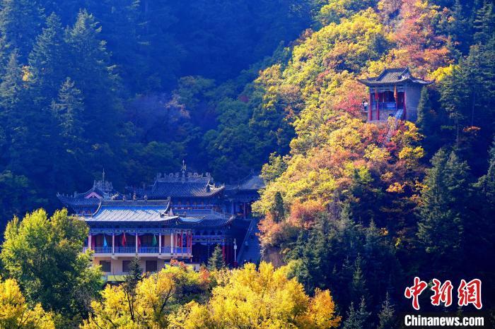 深秋，位于蘭州市榆中縣的興隆山景色如畫。宮衛(wèi)紅 攝