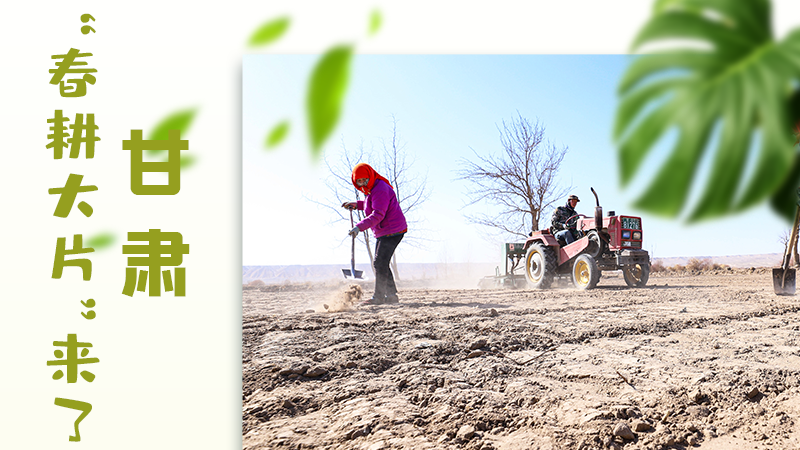 【甘快看】海報(bào)|瞧！甘肅“春耕大片”來(lái)了