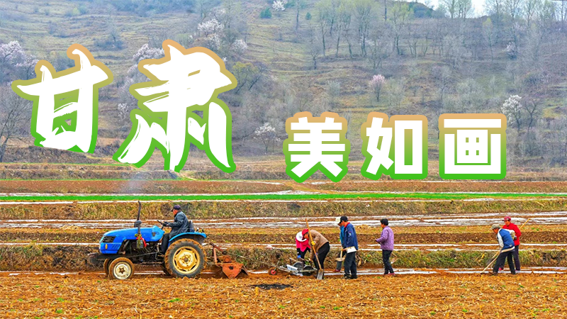 微海報|甘肅，美如畫