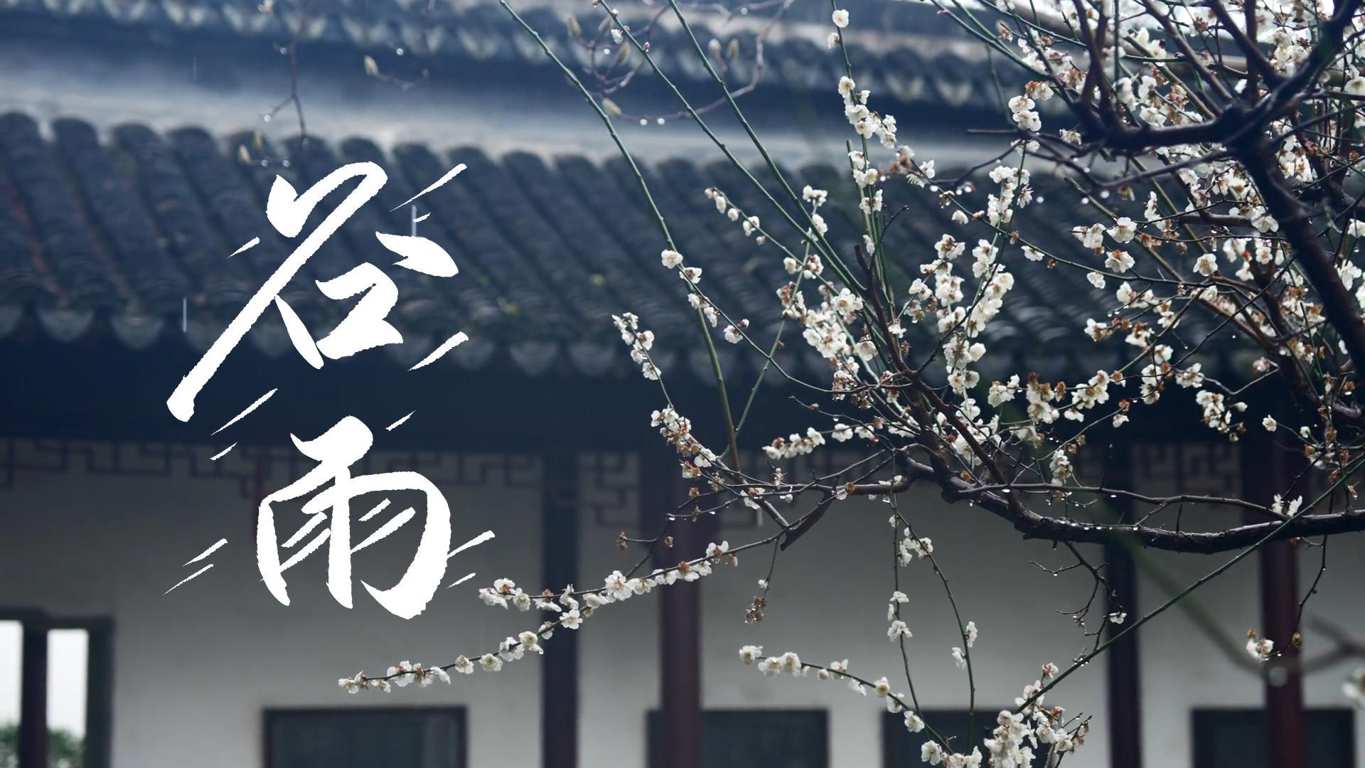 【節(jié)氣里的大美甘肅】谷雨，春天的最后一次回眸