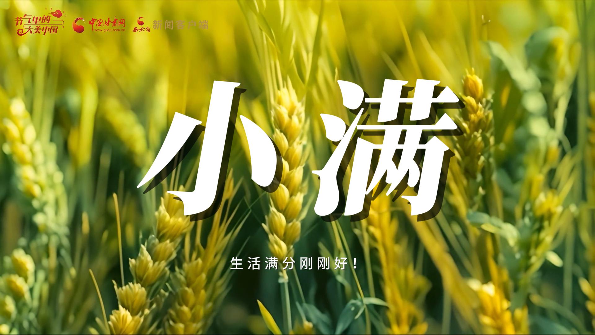 【節(jié)氣里的大美甘肅·小滿】生活滿分剛剛好！