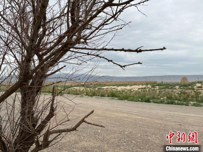 圖為位于長城墻體上的“馬面”或“敵臺”?！〈魑牟?攝