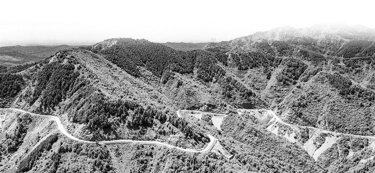 隴山 本版圖片均為資料圖