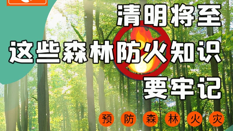 【甘快看】圖解|緊繃“安全弦”！清明，這些森林防火知識(shí)要牢記