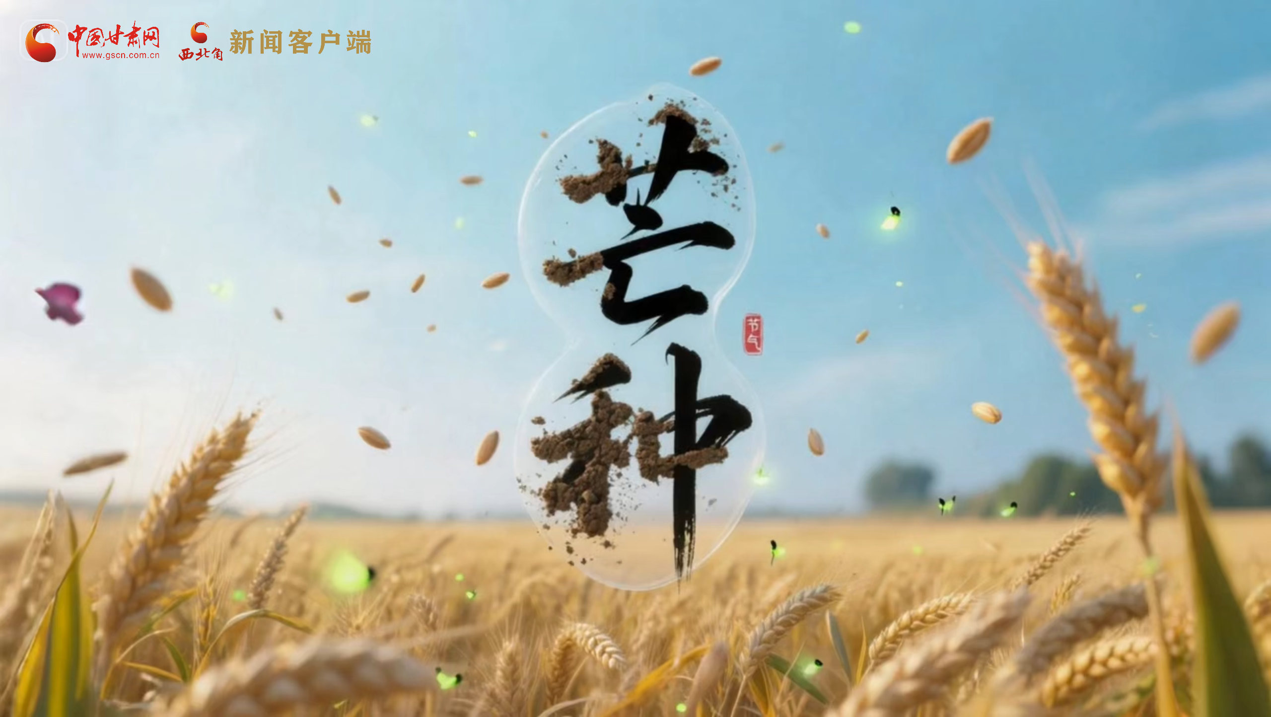 AI視頻|芒種:“芒”在當(dāng)下 “種”在未來