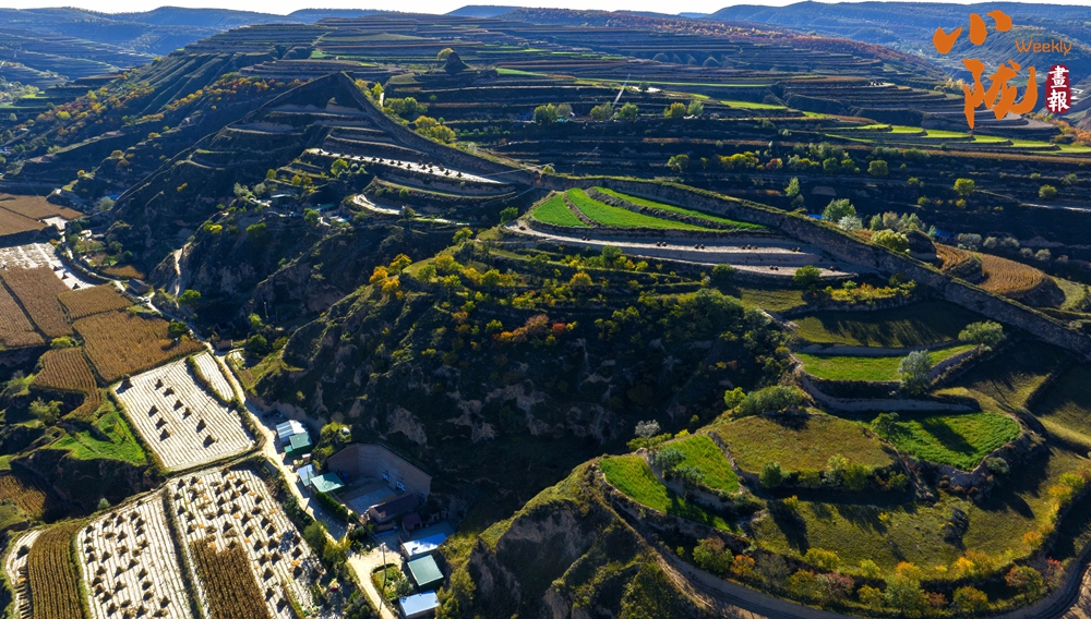 綠染環(huán)縣滿(mǎn)目春 誰(shuí)寫(xiě)青翠入畫(huà)來(lái)