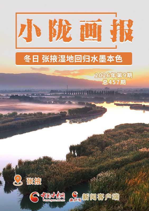 【小隴畫報(bào)·457期】冬日，張掖濕地回歸水墨本色 